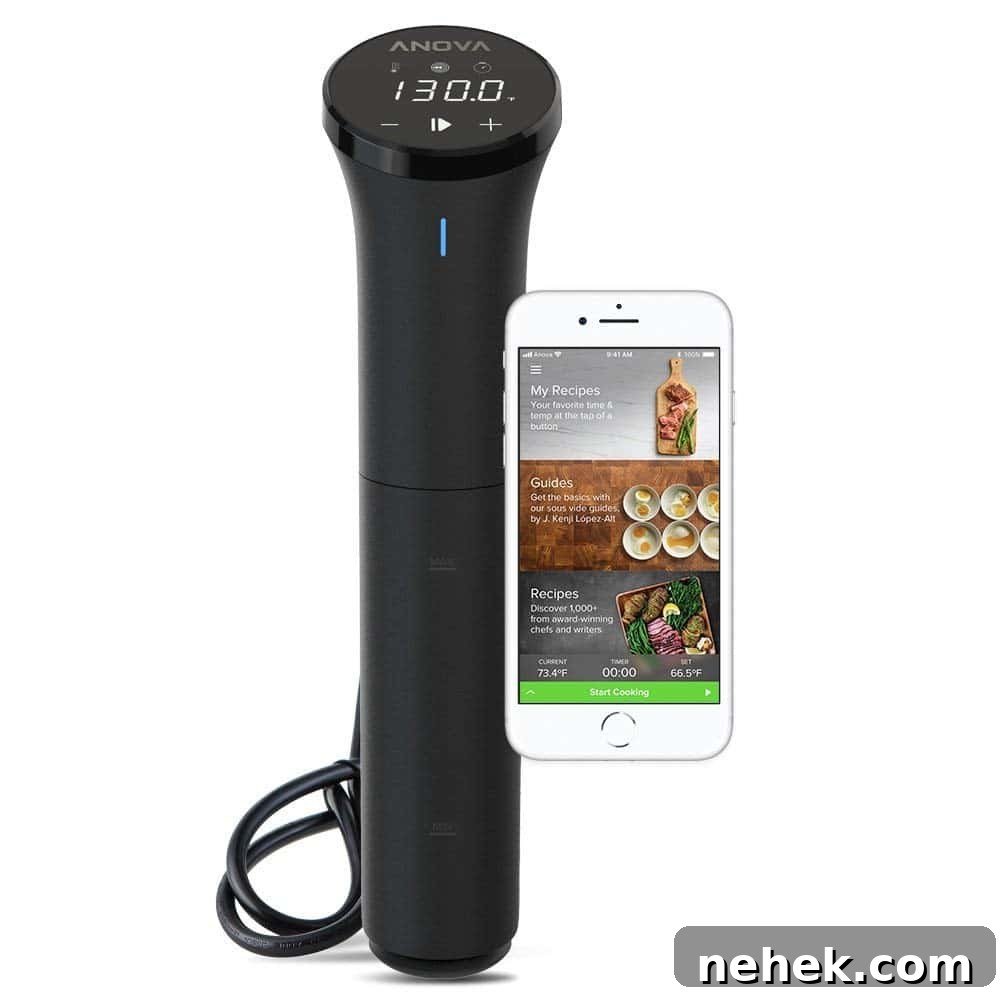 featured 263215
