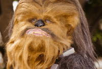 35 Chewbacca Gifts for Star Wars Fans Who Roar with Joy