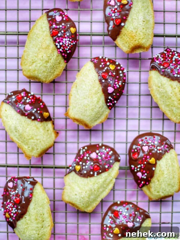 chocolate dipped madeleines on a baking rack