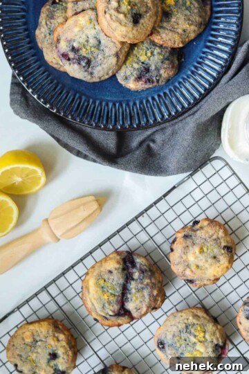 Lemon blueberry cookies on baking tray with lemon and juicer.