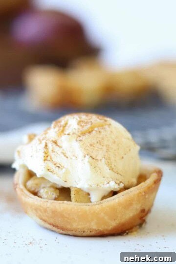 close view to mini apple pie topped with ice cream and cinnamon