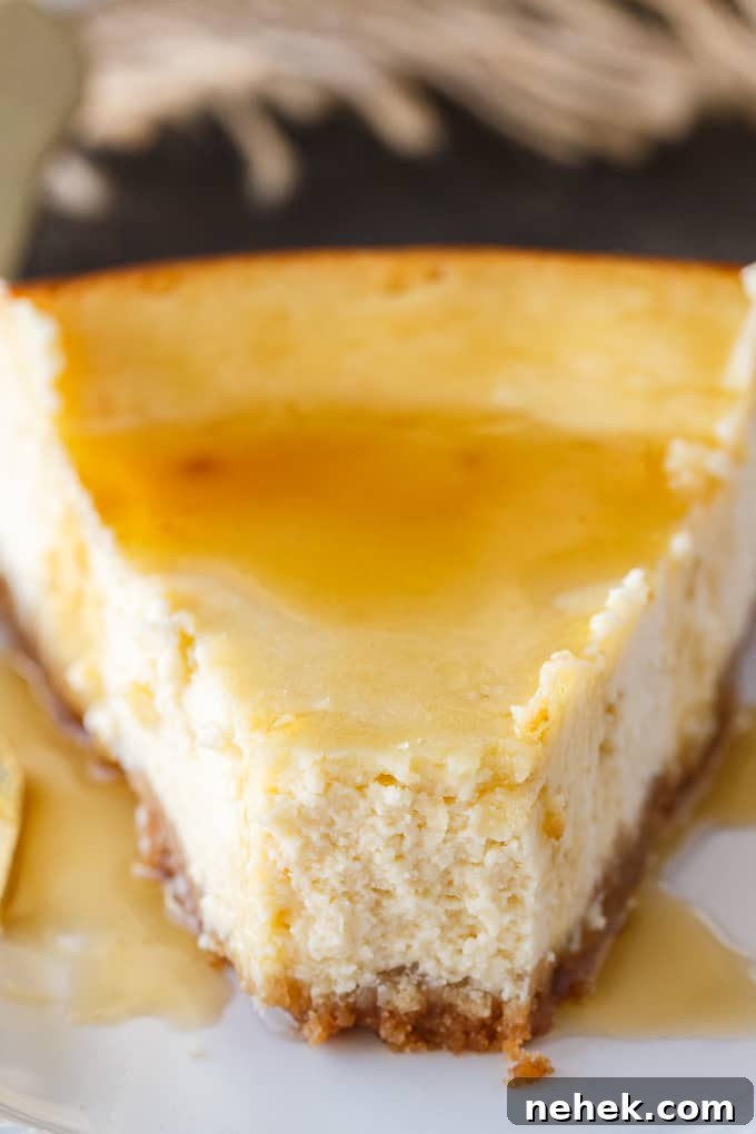 Decadent Maple Syrup Cheesecake Recipe with Brown-Butter Crust 7 Close-up of cheesecake texture.