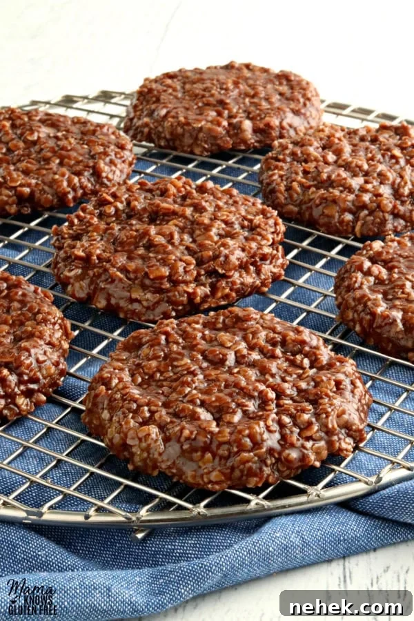 Gluten-Free No-Bake Cookies with Dairy-Free & Vegan Options 2 gluten-free no-bake cookies on a cooling rack