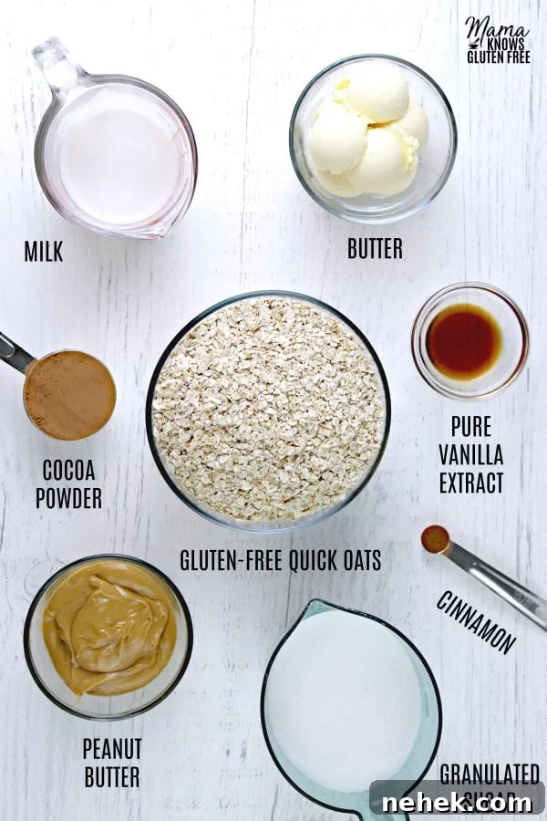 Gluten-Free No-Bake Cookies with Dairy-Free & Vegan Options 3 gluten-free no-bake cookies recipe ingredients