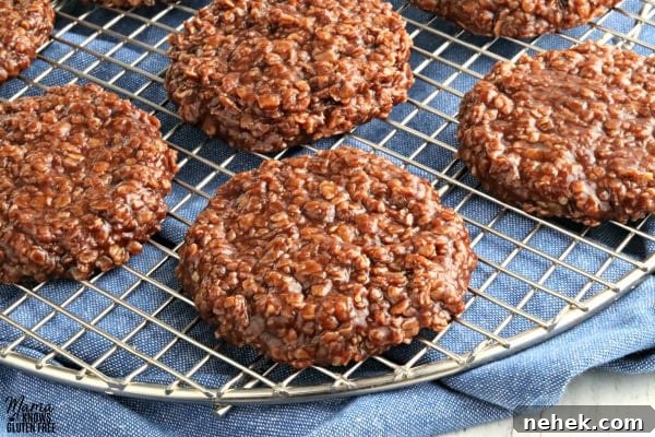 Gluten-Free No-Bake Cookies with Dairy-Free & Vegan Options 5 gluten-free no-bake cookies on a cooling rack with a blue kitchen towel
