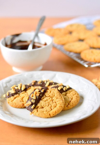 chocolate-dipped-flourless-peanut-butter-cookies-2