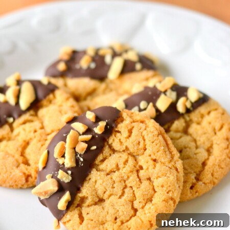 Chocolate Dipped Flourless Peanut Butter Cookies