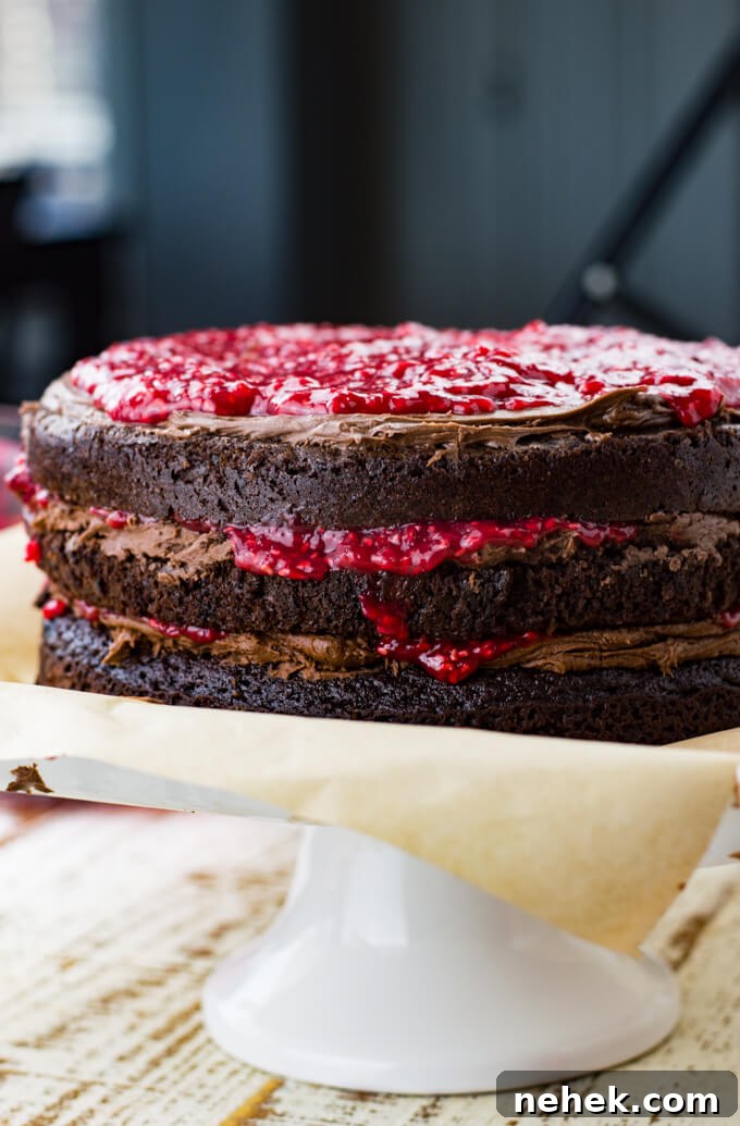 A side photo of a chocolate cake with layers of chocolate frosting and raspberry filling.