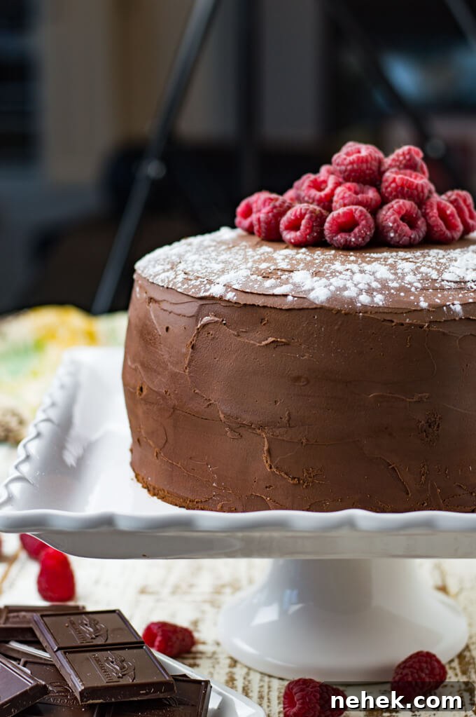 A layered chocolate raspberry cake sitting on a cake plate, sprinkled with powdered sugar and garnished with fresh whole raspberries.