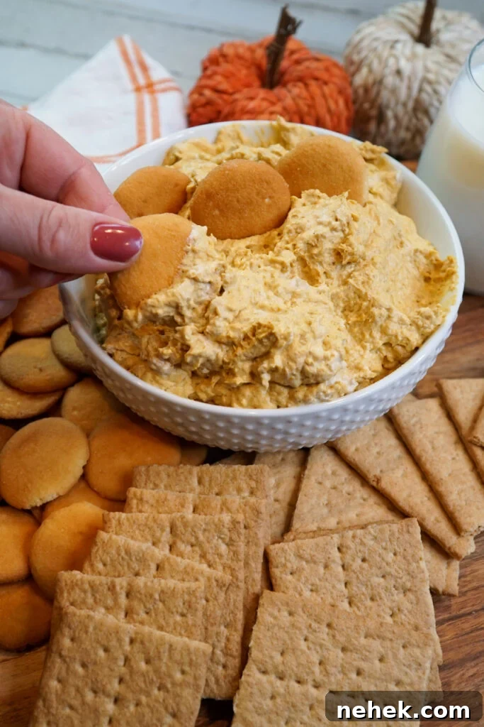 Cream cheese pumpkin dip an a vanilla waffer cookie.