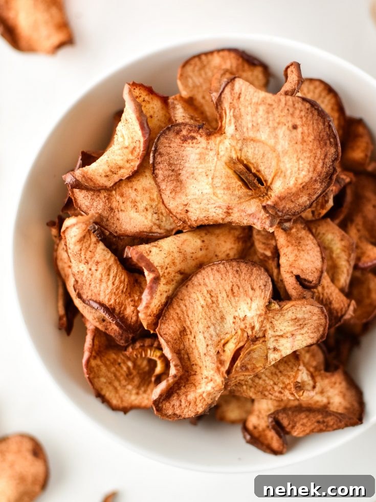 How to Make Apple Chips in an Air Fryer