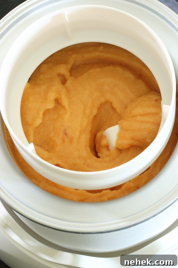 Sugar-Free Peach Sorbet Recipe — Light Summer Frozen Dessert 5 img 10824 4