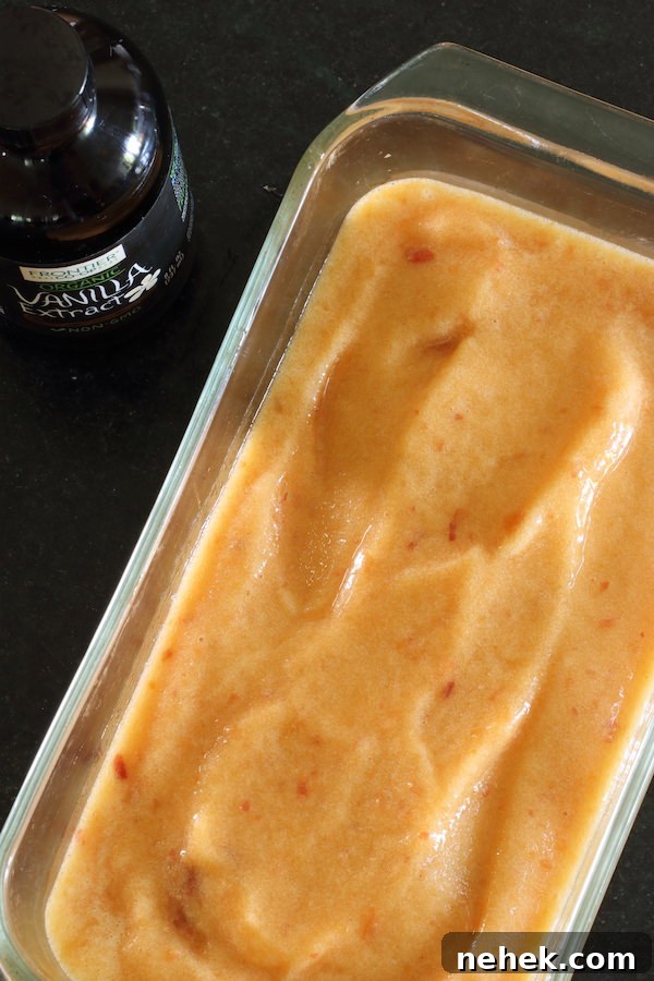 Sugar-Free Peach Sorbet Recipe — Light Summer Frozen Dessert 6 img 10824 5
