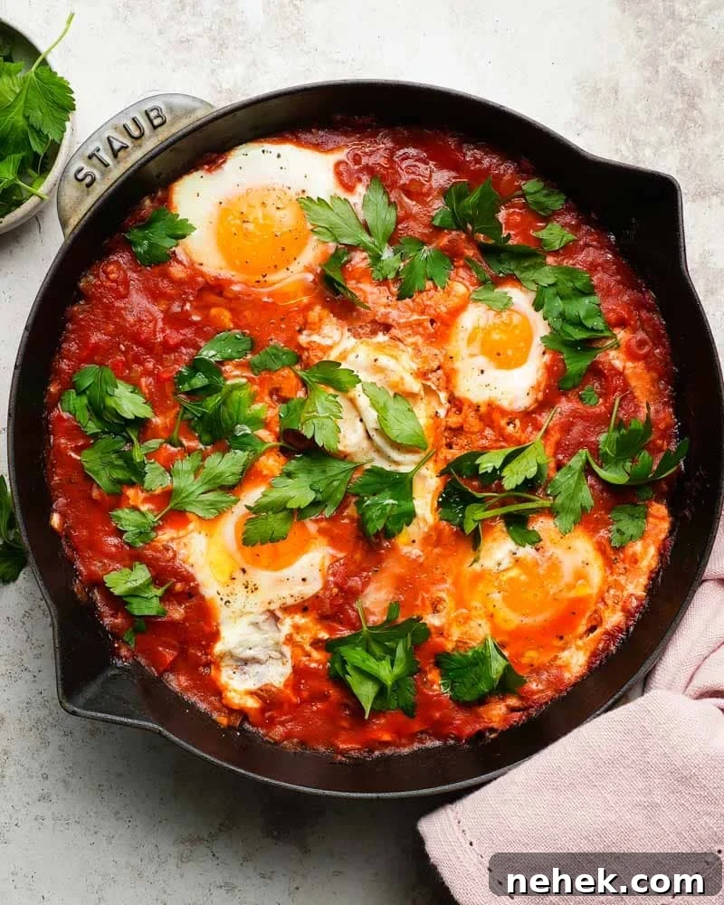 Harissa Shakshuka Recipe: Spicy North African Poached Eggs 2 Easy Harissa Shakshuka