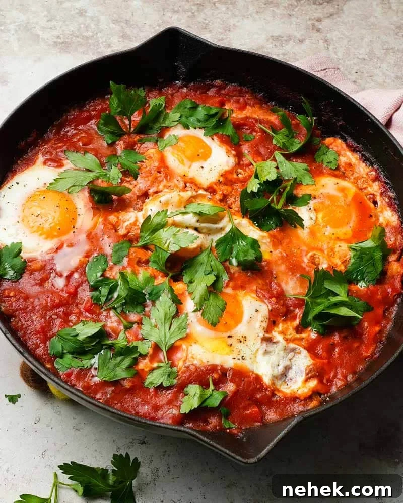 Harissa Shakshuka Recipe: Spicy North African Poached Eggs 3 Easy Harissa Shakshuka