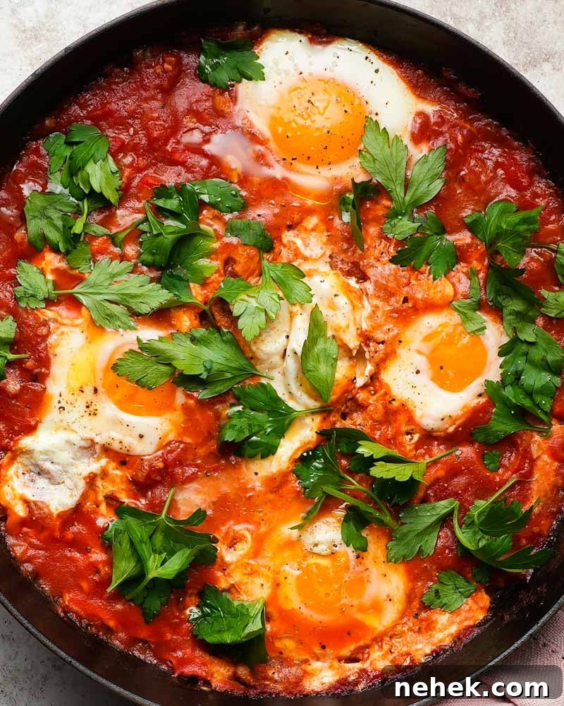Harissa Shakshuka Recipe: Spicy North African Poached Eggs 4 Easy Harissa Shakshuka