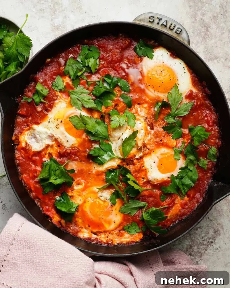 Harissa Shakshuka Recipe: Spicy North African Poached Eggs 5 Easy Harissa Shakshuka