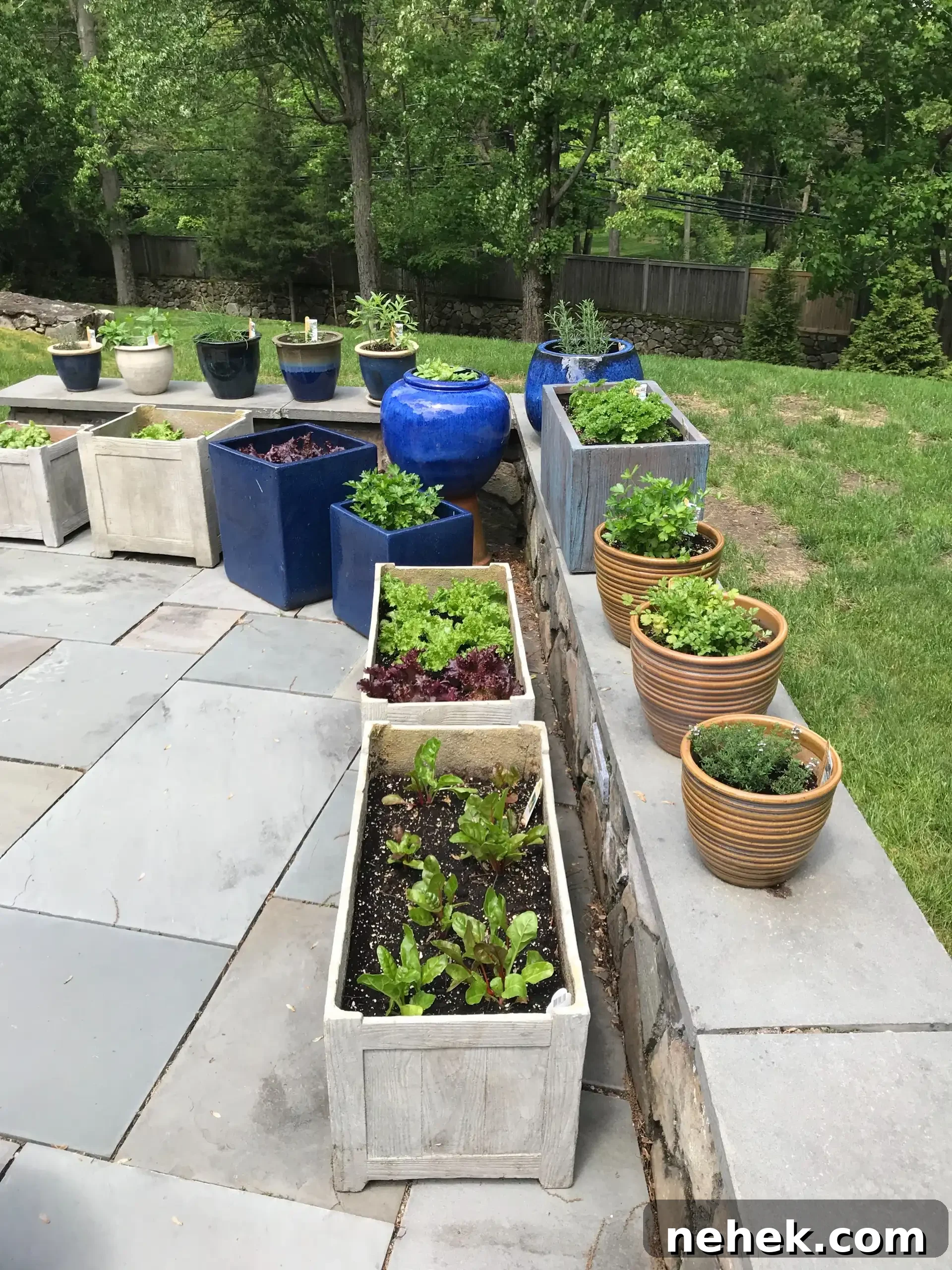 planting a patio garden #glutenfreerecipes www.healthygffamily.com