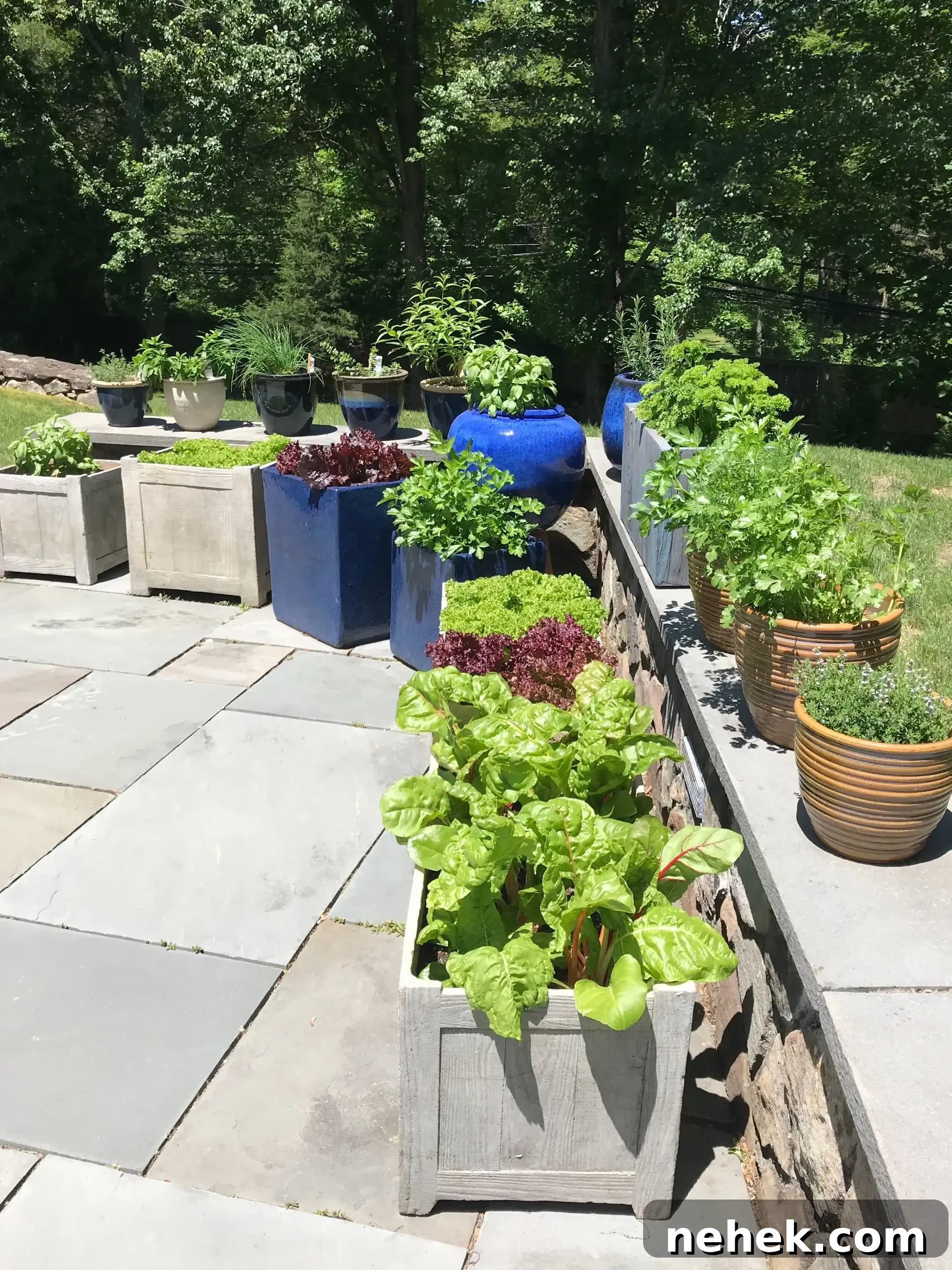 planting a patio garden #glutenfreerecipes www.healthygffamily.com