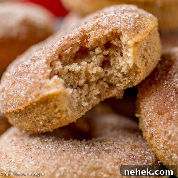 Apple Cider Donuts