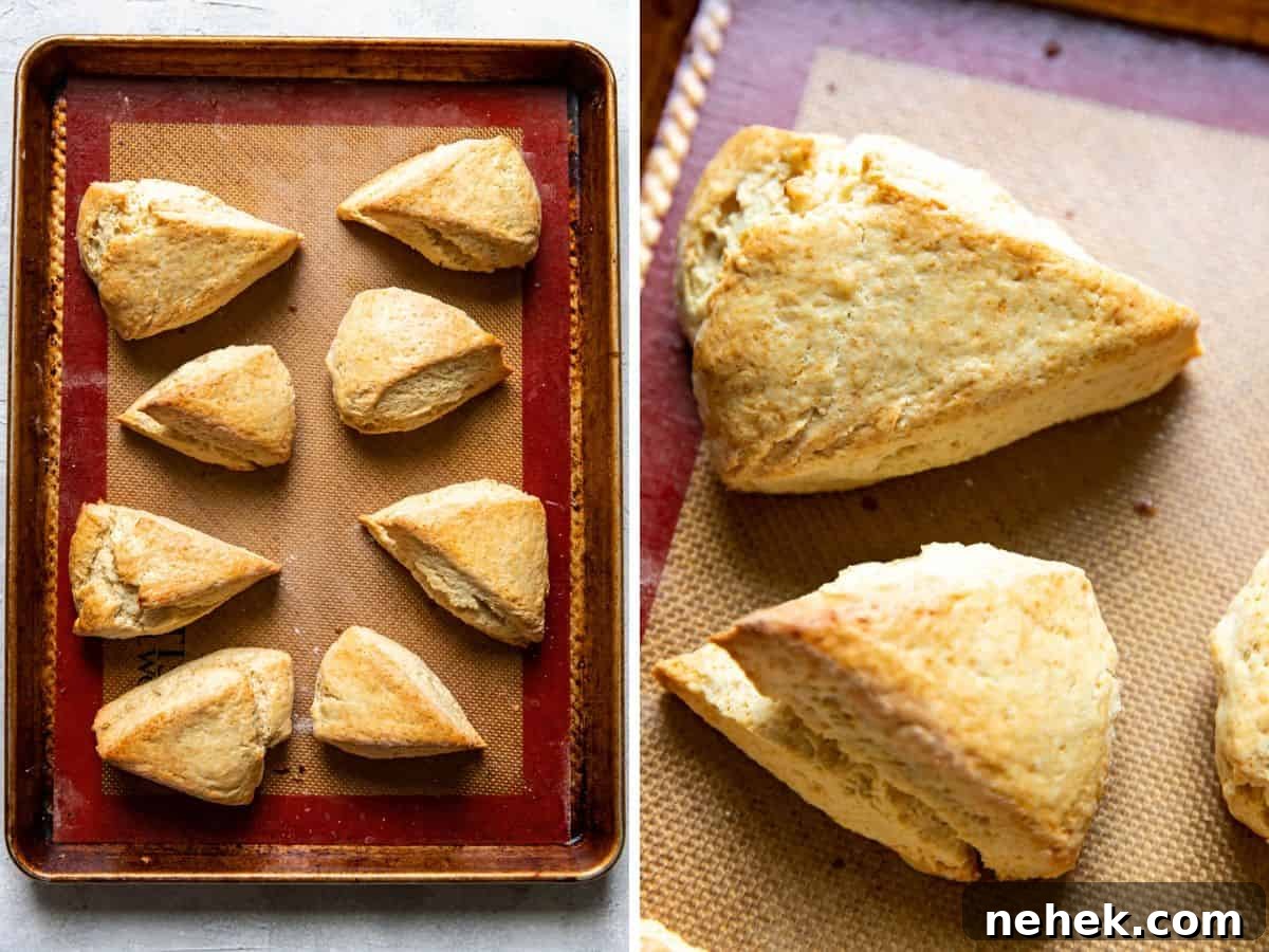How to Make Classic English Scones: Traditional Recipe & Tips 9 img 1350 8