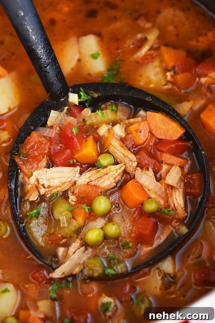 Spoonful of One Pot Easy Chicken Vegetable Soup.