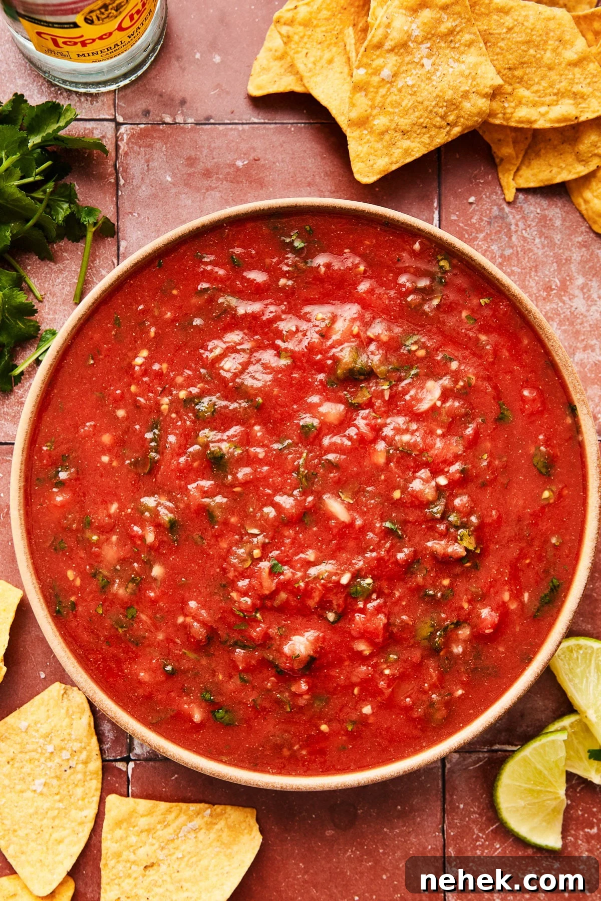 Bowl of fresh blender salsa