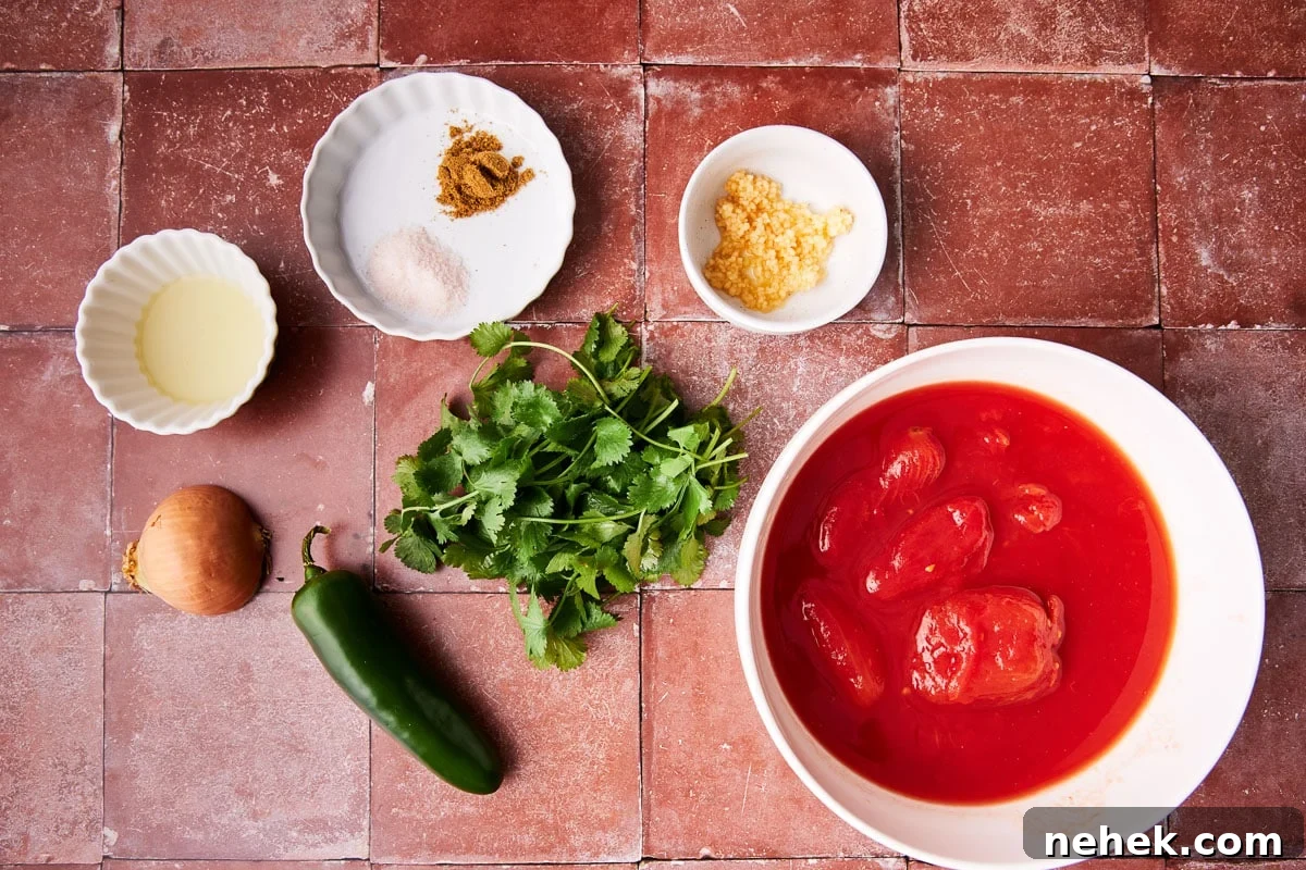 Salsa served with chips