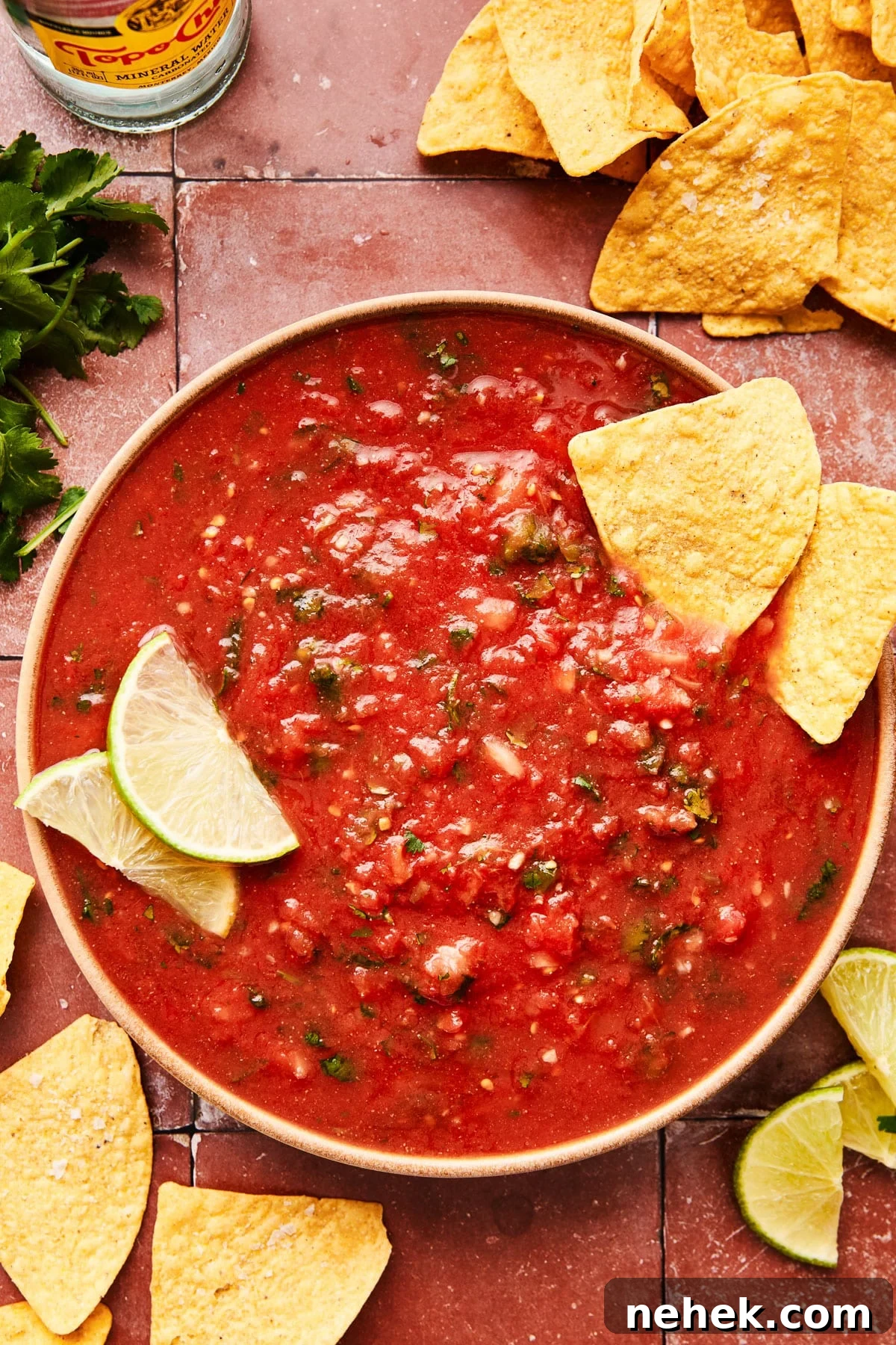 Fresh ingredients for salsa