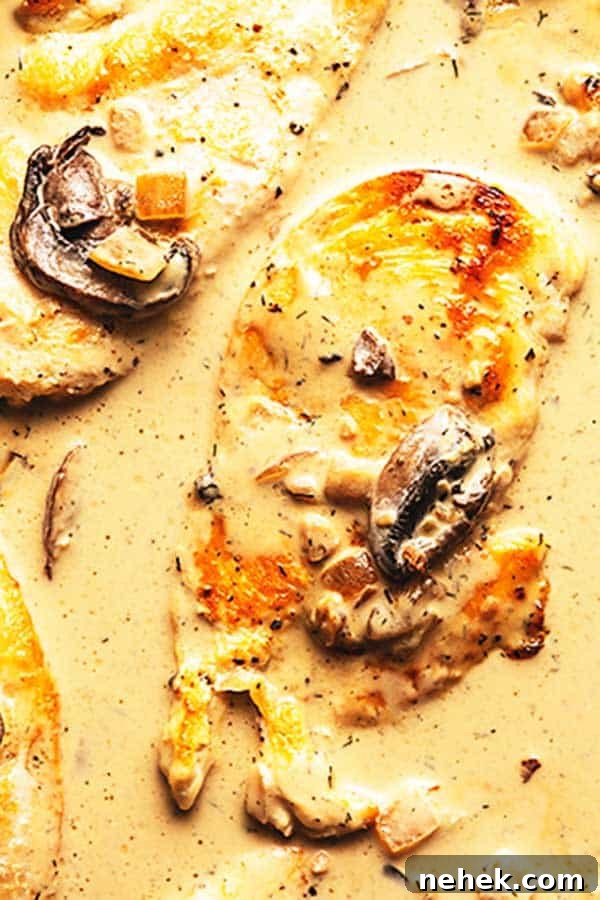 Keto Chicken Stroganoff