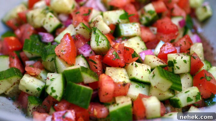 israeli salad + pita chips