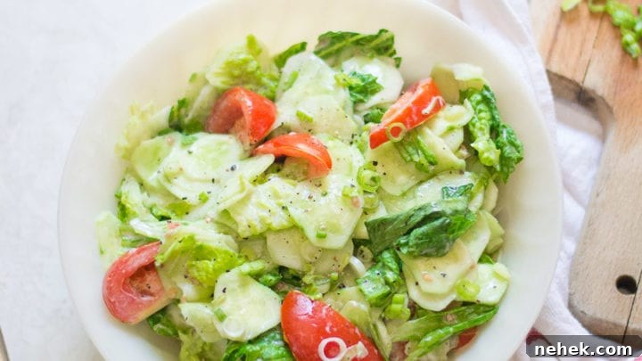 cucumber & sour cream salad | sarcastic cooking