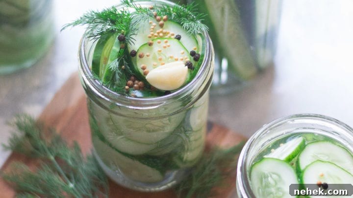 Refrigerator Garlic Dill Pickles | Sarcastic Cooking