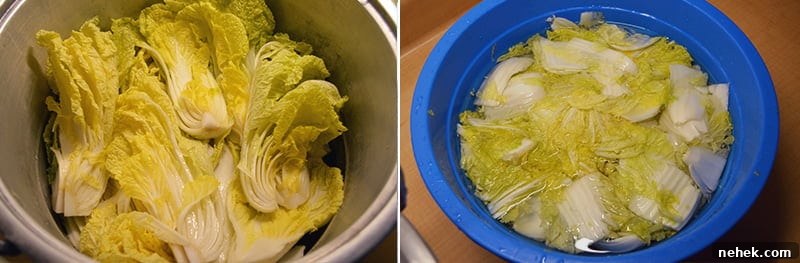 How to Make Classic Napa Cabbage Kimchi at Home 6 how to make kimchi 4