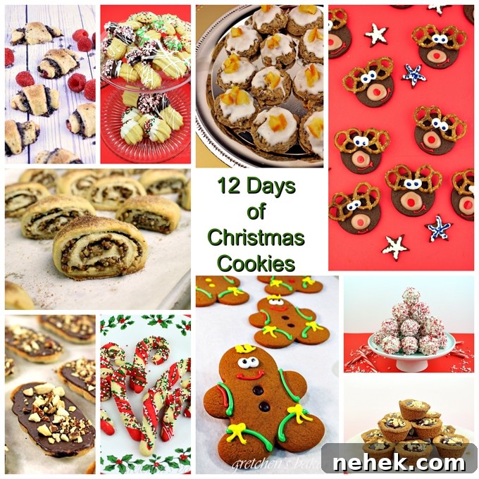 The 12 Days of Christmas Cookies VEGAN!
