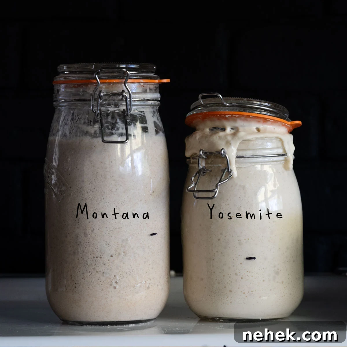 Create and Maintain a Sourdough Starter: Step-by-Step Guide 2 my sourdough starters (Montana and Yosemite) rising in mason jars