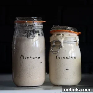 Create and Maintain a Sourdough Starter: Step-by-Step Guide 5 my sourdough starters (Montana and Yosemite) rising in mason jars