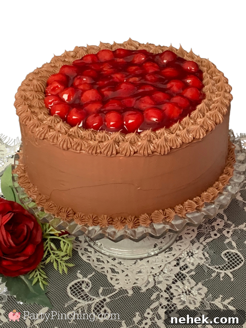 Decadent Chocolate Buttercream Recipe for Perfect Frosting 8 Chocolate Cherry cake recipe, Best chocolate buttercream ever, best homemade chocolate frosting, easy simple fast quick chocolate frosting buttercream icing, best tasting chocolate buttercream, milk chocolate buttercream recipe