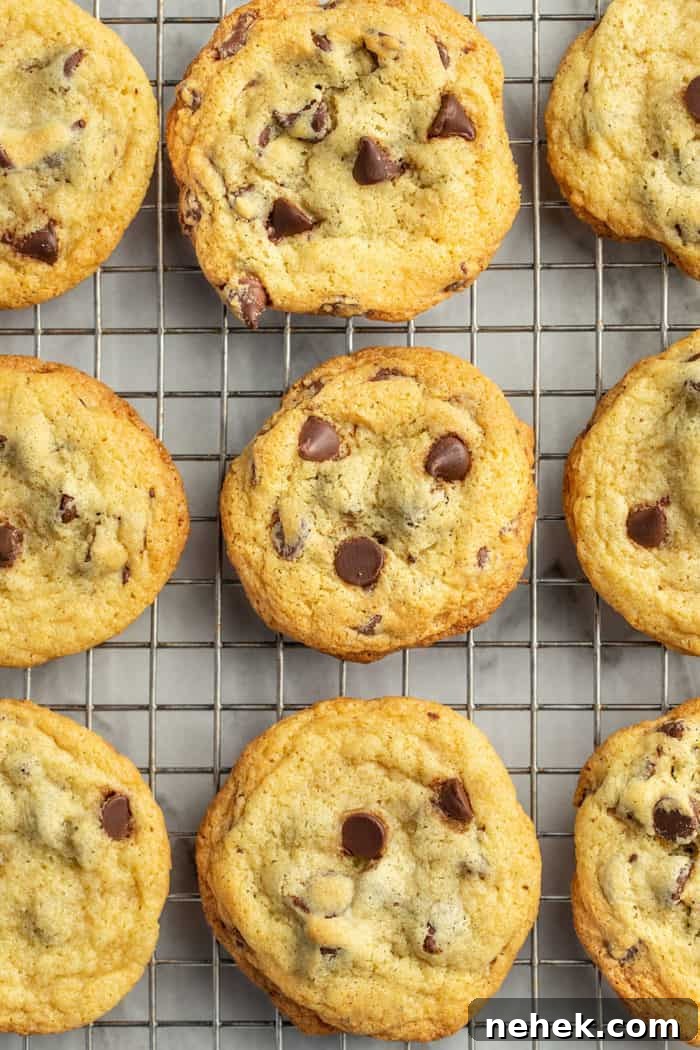 Chocolate Chip Pudding Cookies Recipe — Soft, Chewy Treats 9 Chocolate Chip Pudding Cookies lined up on a wire rack to cool