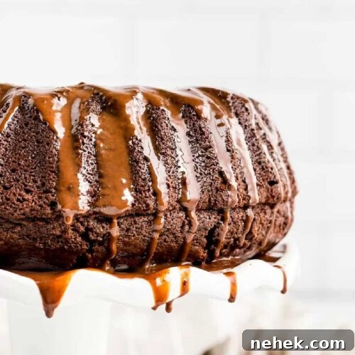 How Long Does Birthday Cake Stay Fresh? Shelf Life Guide 5 chocolate bundt cake on a platter.
