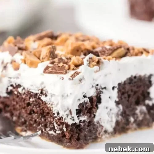How Long Does Birthday Cake Stay Fresh? Shelf Life Guide 7 Better than sex cake cut and served on a white plate.