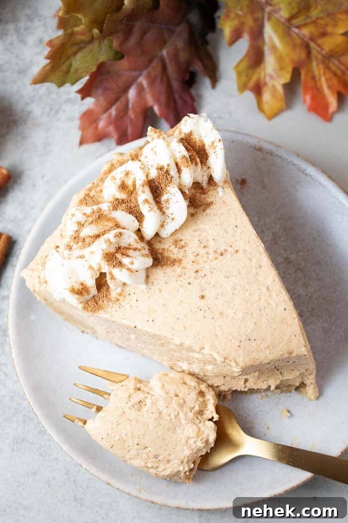 overhead view of a slice of keto no bake pumpkin cheesecake topped with whipped cream and cinnamon on a serving dish
