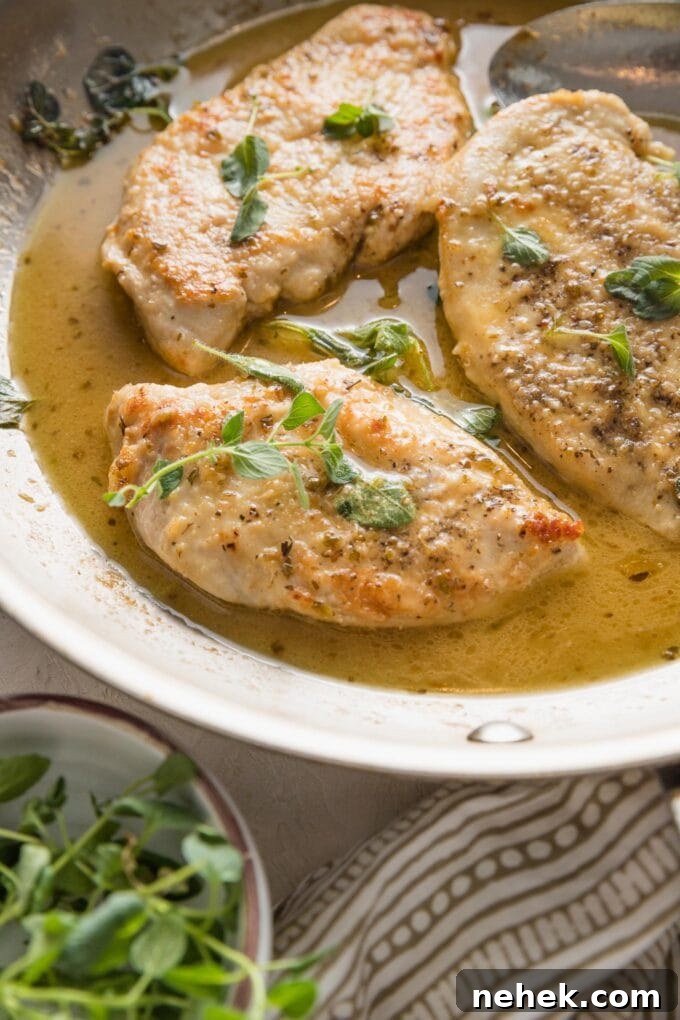 Savory Oregano-Roasted Chicken with Lemon and Garlic 2 45 degree angle view of a tender pan-fried chicken breast resting in a skillet filled with a light white wine sauce and fresh oregano.