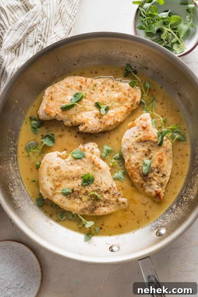 Savory Oregano-Roasted Chicken with Lemon and Garlic 4 Overhead image of oregano chicken in a skillet with fresh oregano sprigs scattered around.