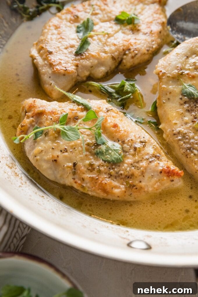 Savory Oregano-Roasted Chicken with Lemon and Garlic 5 Close up of a pan-fried chicken breast seasoned with white wine sauce and oregano.