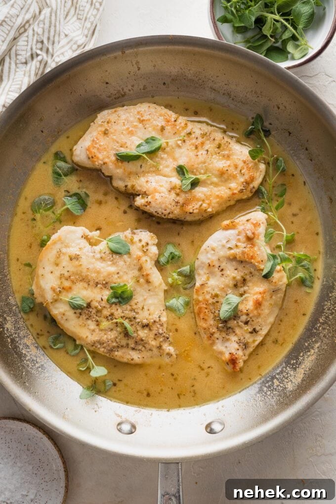 Savory Oregano-Roasted Chicken with Lemon and Garlic 6 Overhead image of oregano chicken in a skillet with fresh oregano sprigs scattered around.