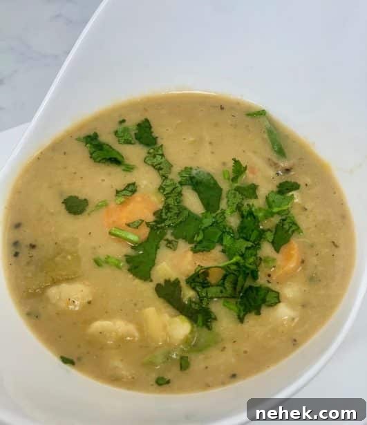 Healthy Creamy Vegetable Soup SW