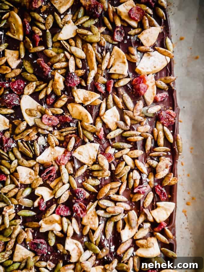 Photo of melted chocolate with pepitas, cranberries and apple on top.