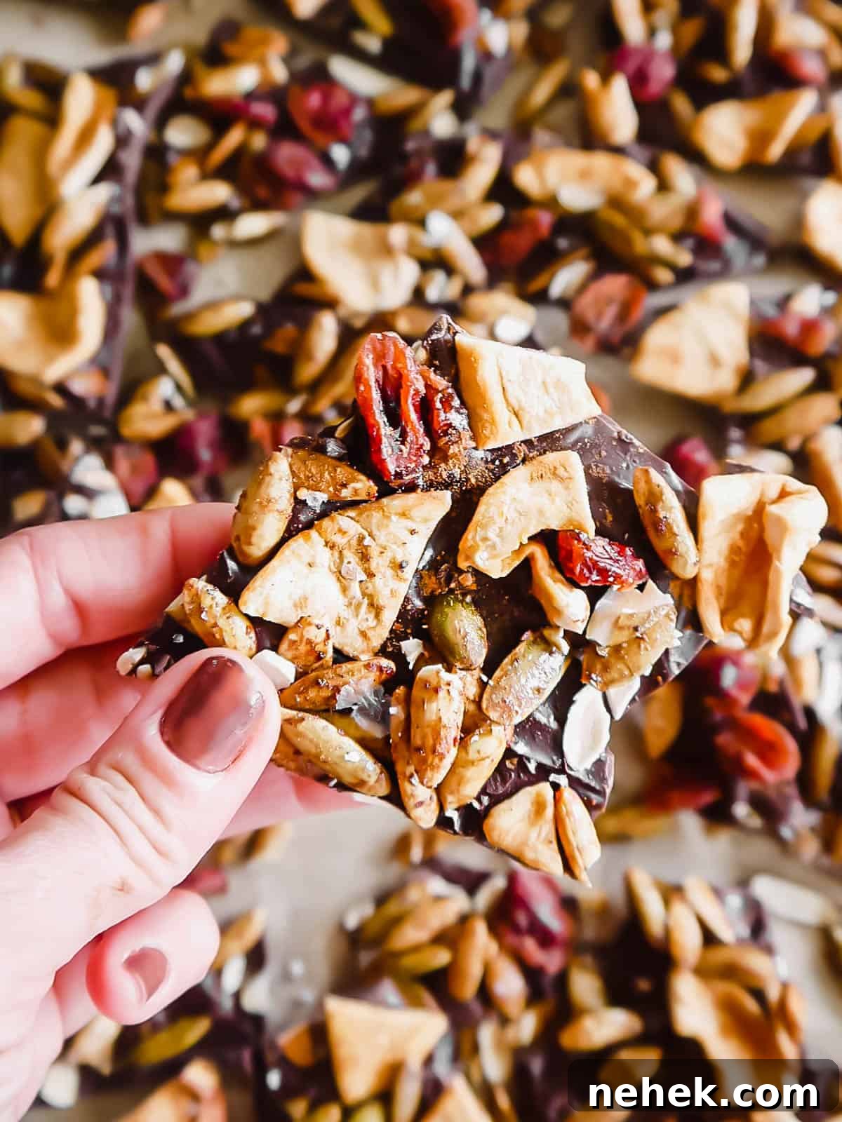 Piece of thanksgiving bark in hand.