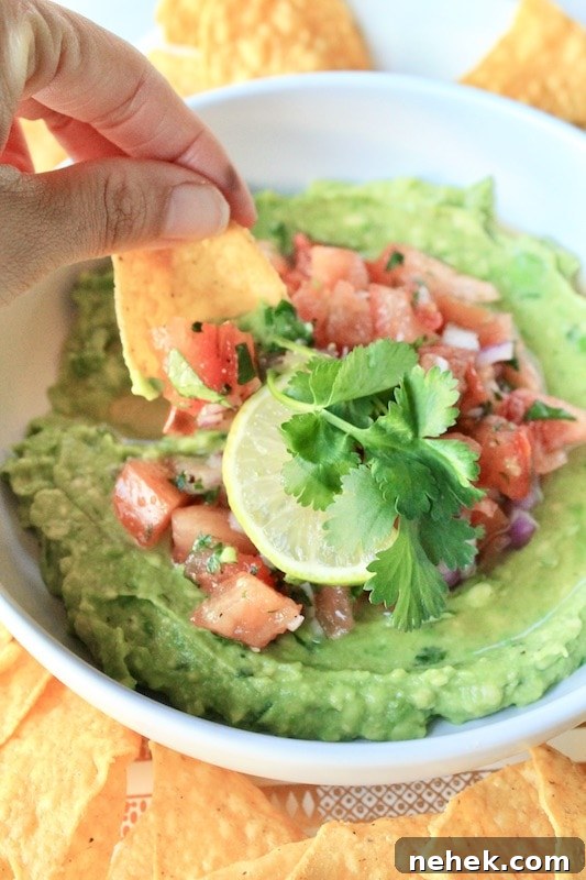 Zippy Guacamole with Fresh Pico de Gallo Topping 7 guacamole and salsa dip appetizer